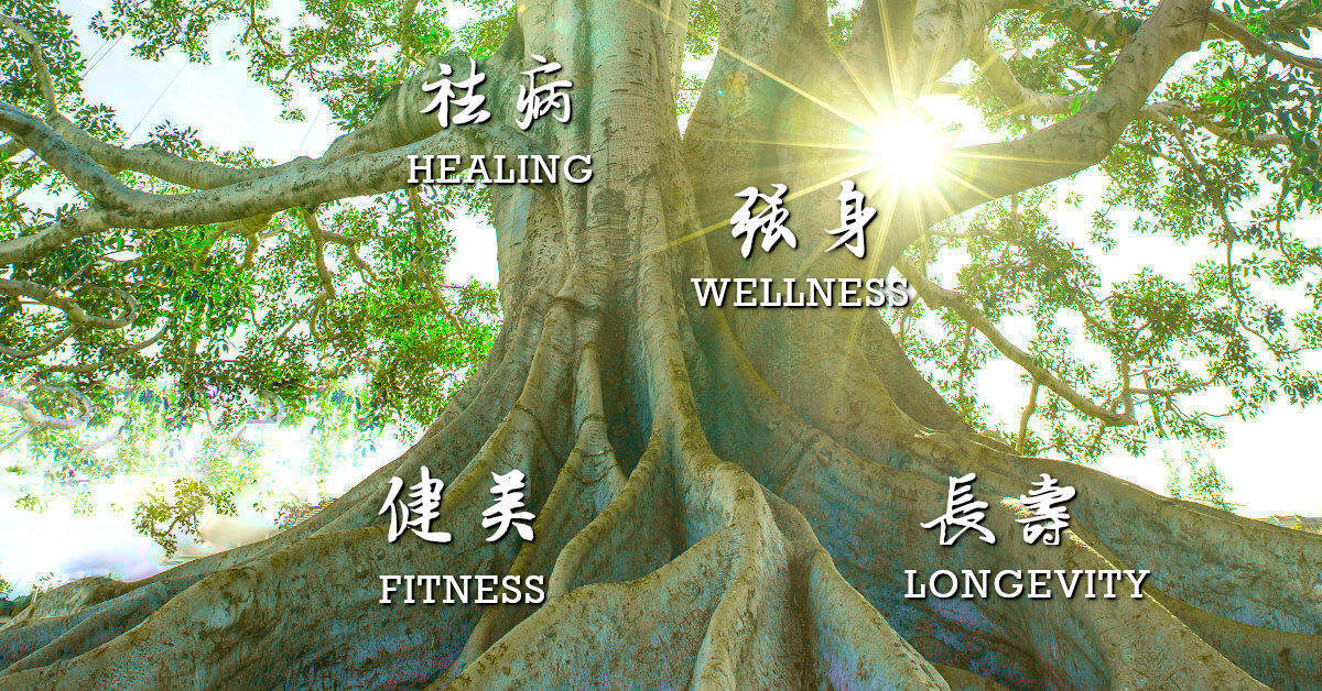 祛病、强身、健美、长寿