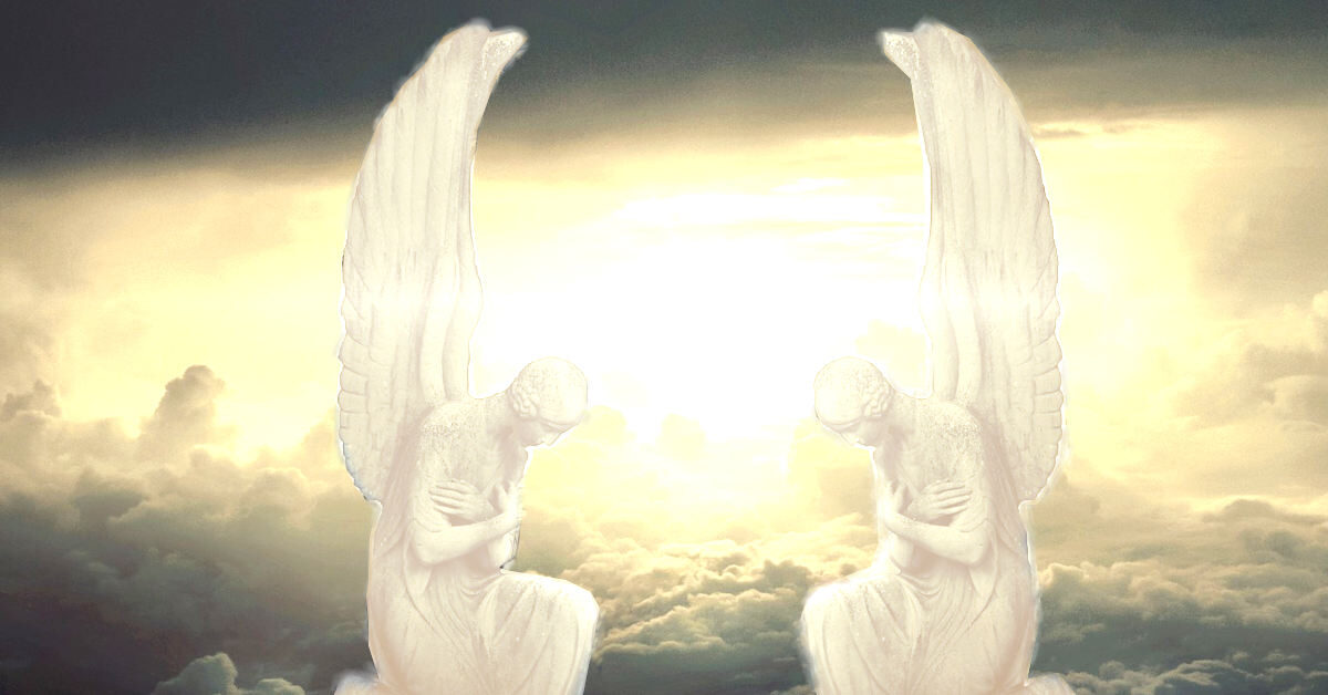 重整天鴿：悔與改