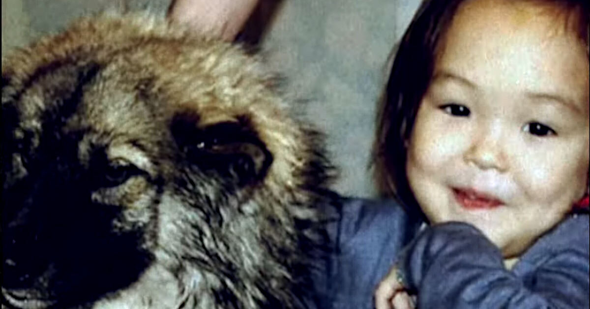 女童走失忠犬回家找救兵