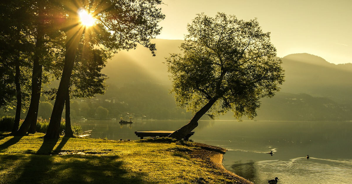 別遺忘了早晨——做晨型人