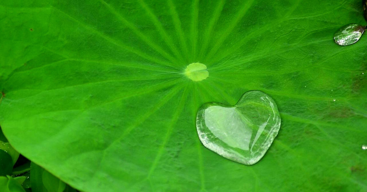 積陰德,扭轉霉運