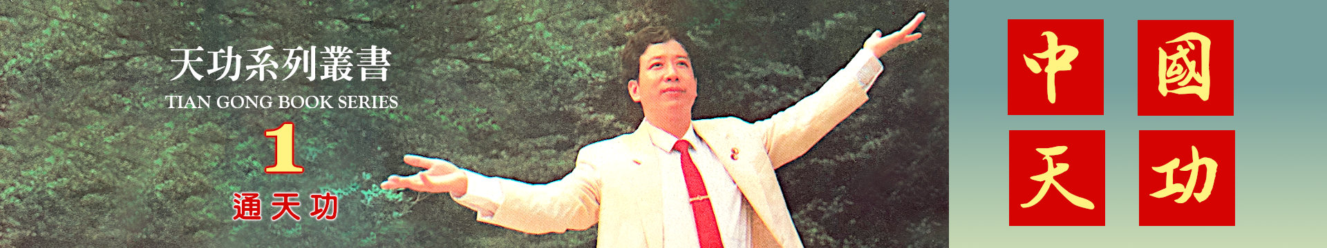 天功系列叢書：通天功